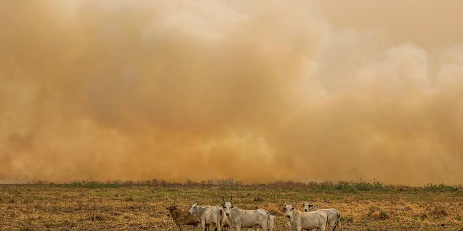 Janeiro tem número de focos de calor duas vezes maior que a média