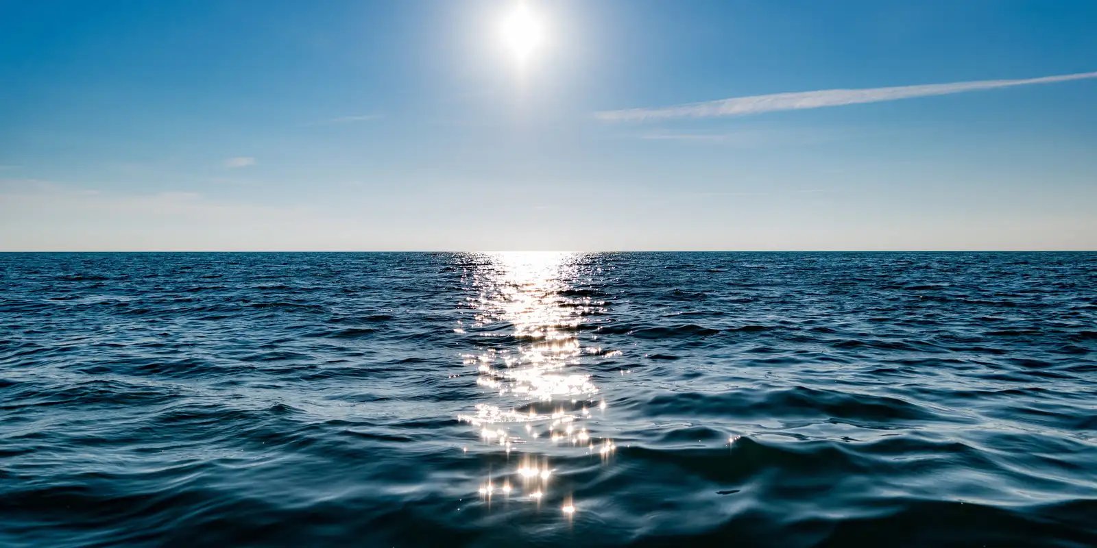 Tratado do Alto-Mar: entenda o que muda para o Brasil