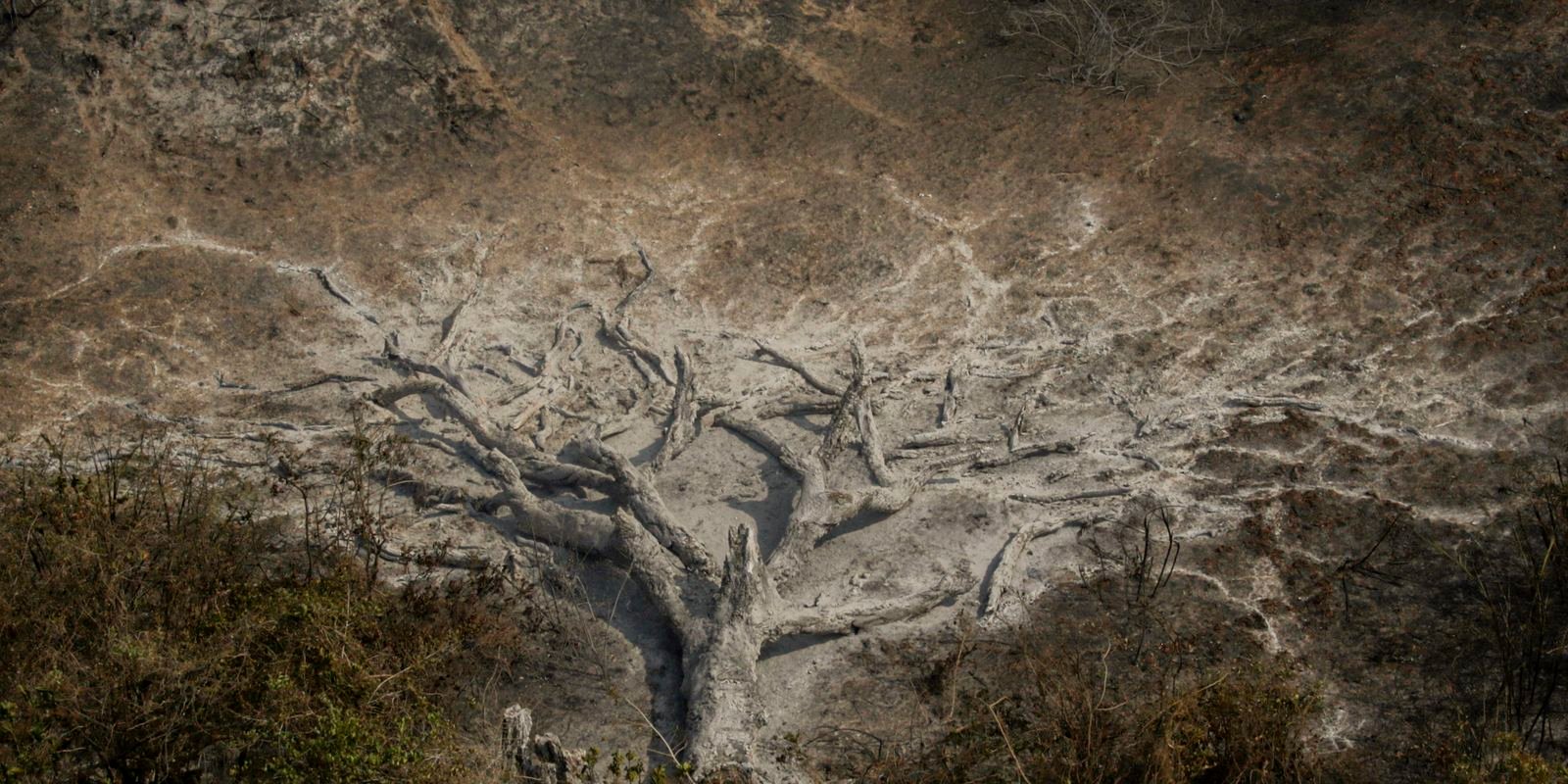 Mudanças climáticas já afetam 85% dos brasileiros, diz pesquisa