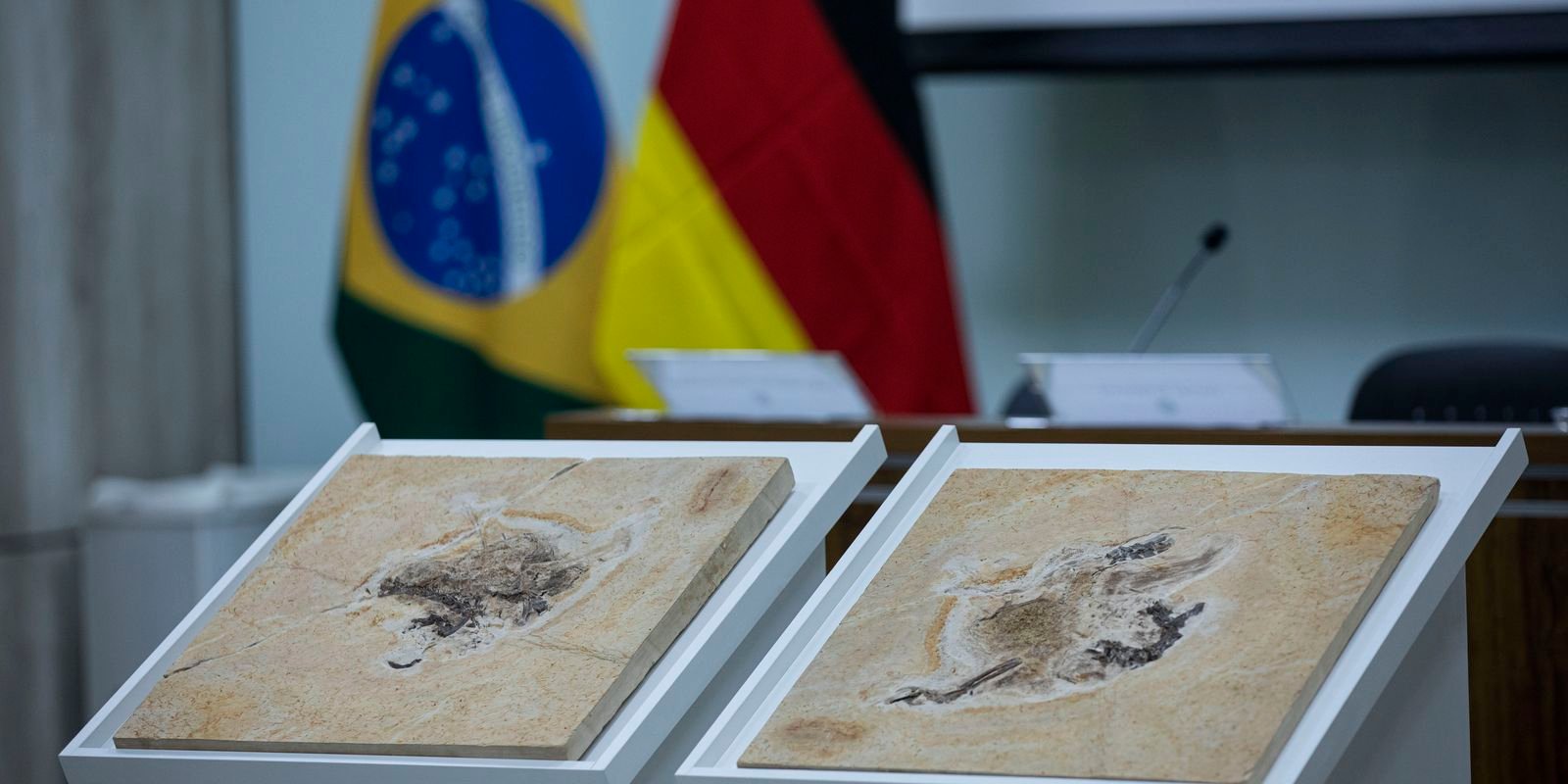 Brasil quer recuperar dinossauros e patrimônios que estão em 14 países