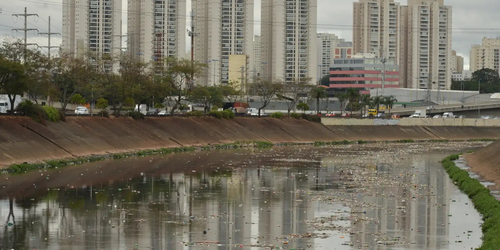 Rio Tietê não tem trecho livre de contaminação, diz SOS Mata Atlântica